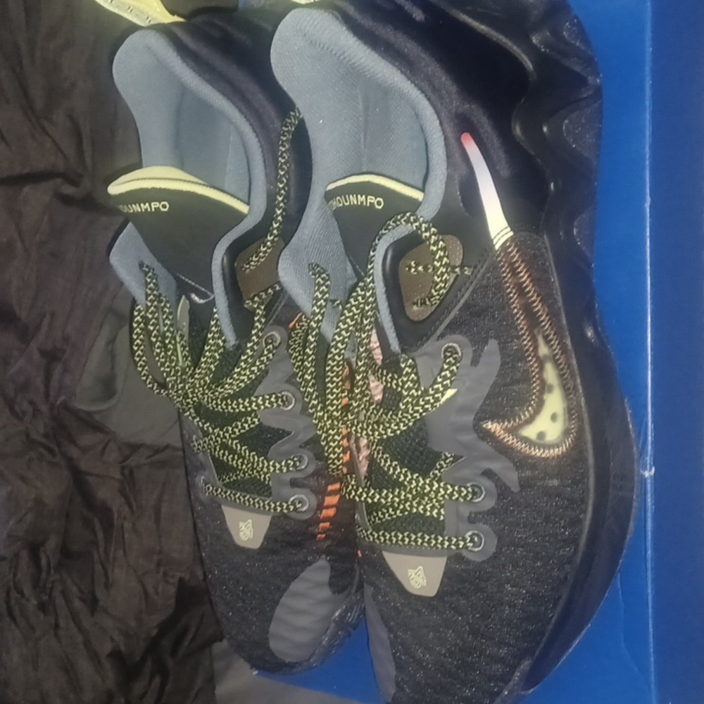 Nike Giannis
